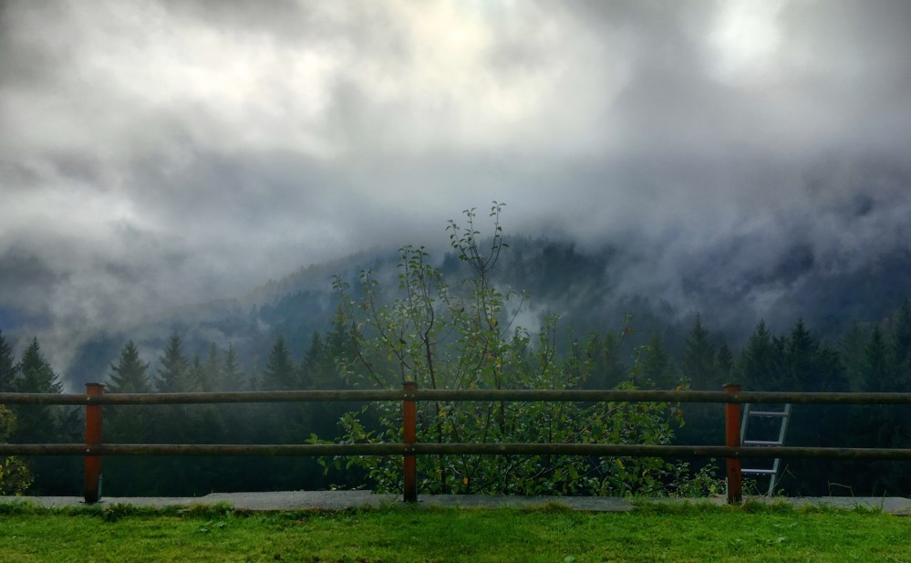 MEck_Foggy8