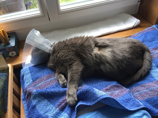 NkRFMTkyNDQtQTdGMS00MThDLThGRTAtQ0ZGQkVEM0M0OUZCQGhvbWU;jsessionid=222FBC2A615EC787B42FD2688DD6B625-n4